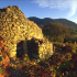 Vignes Domaine Fontareche Lamy Corbieres