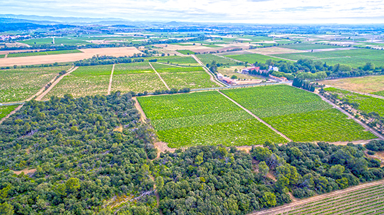 Fontareche Domaine Video