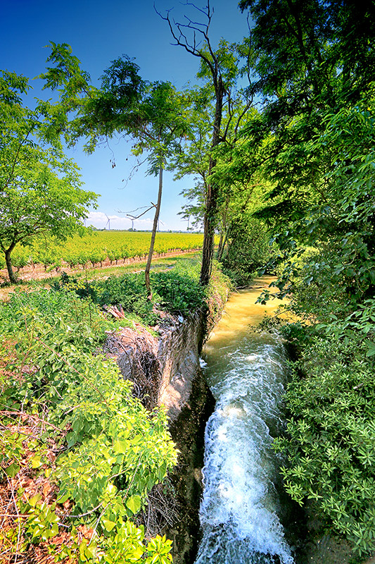 Fontareche Galerie Vignes