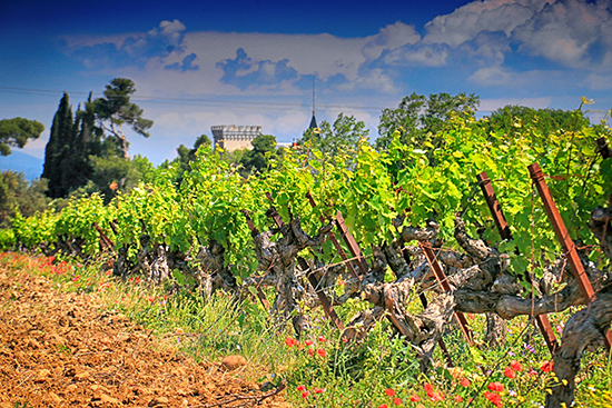 Vignoble Fontareche Esprit