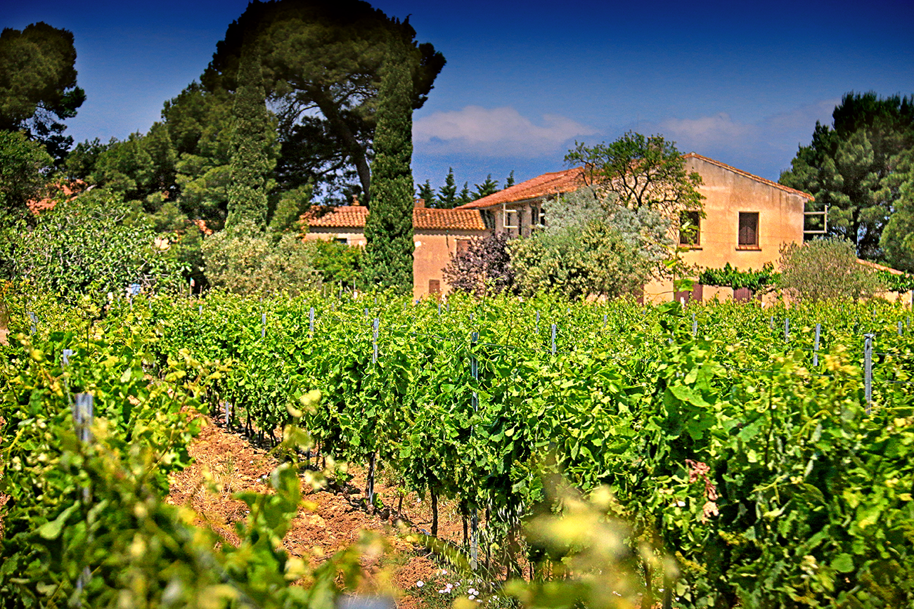 Vignoble Corbieres Vin Fontareche Pierre Mignard